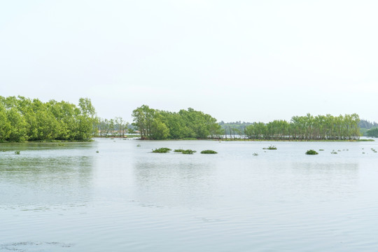 沙美内海