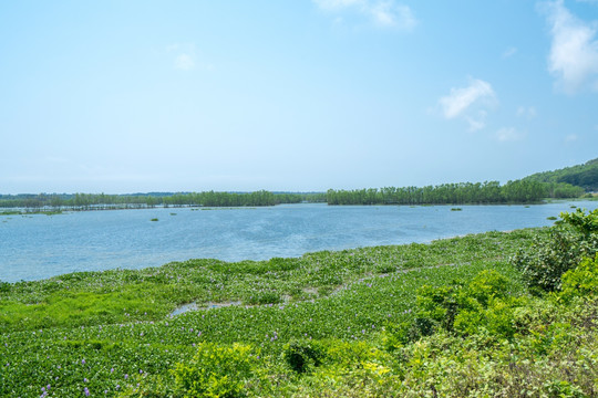 沙美内海