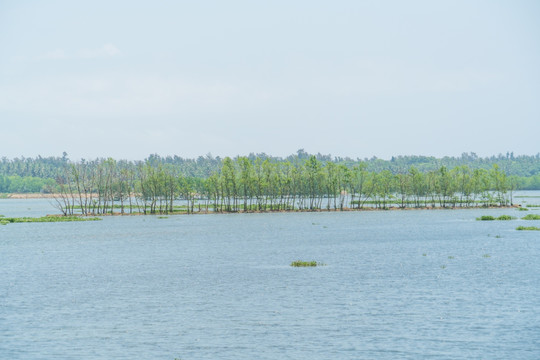 沙美村内海