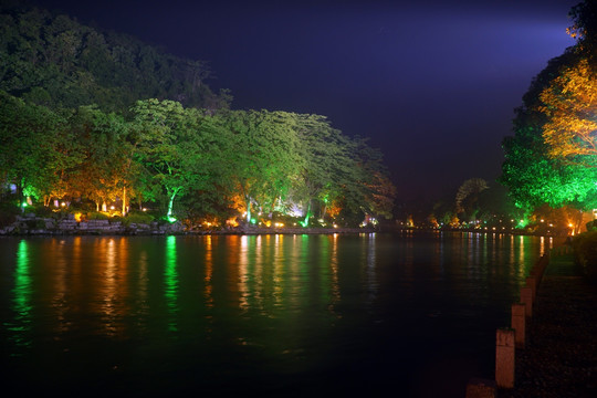 榕湖夜景