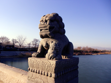 北京 卢沟桥 狮子