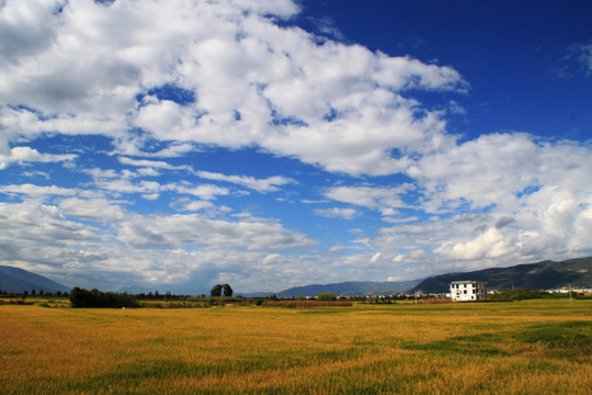 乡村美丽景色