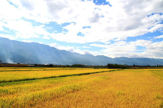 乡村美景