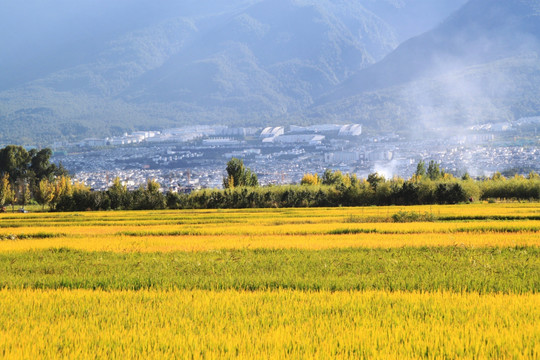 乡村美丽景色