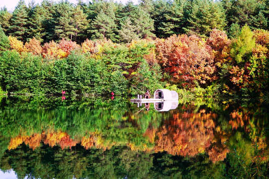 秋季湖泊彩林小船