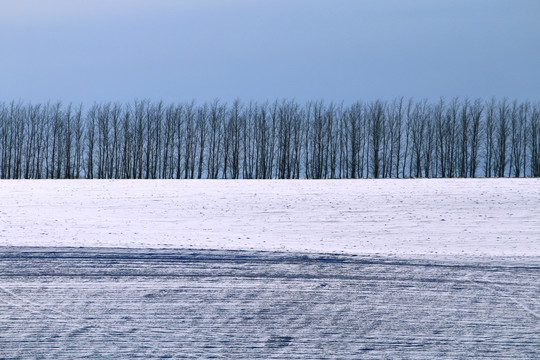 雪原树林