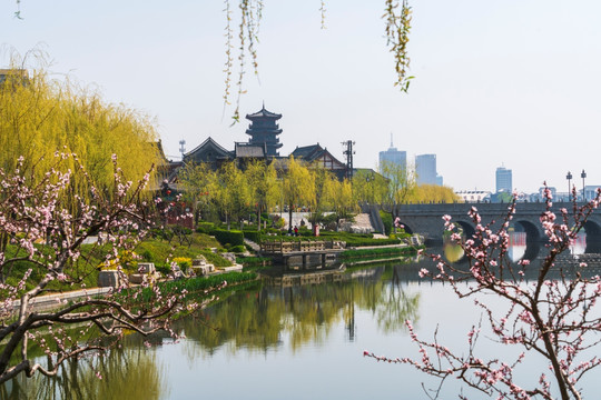 青州南阳河春天风景