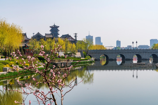 青州南阳河春天风景