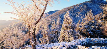 雪景