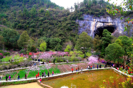 酉阳 桃花源