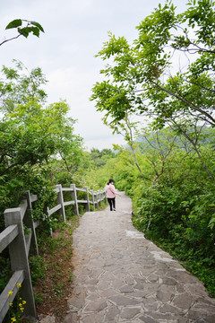 山道