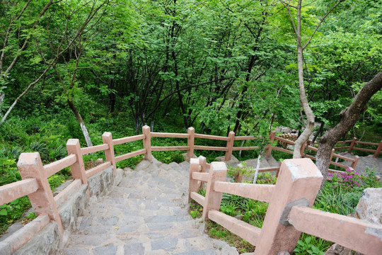 山林登山道