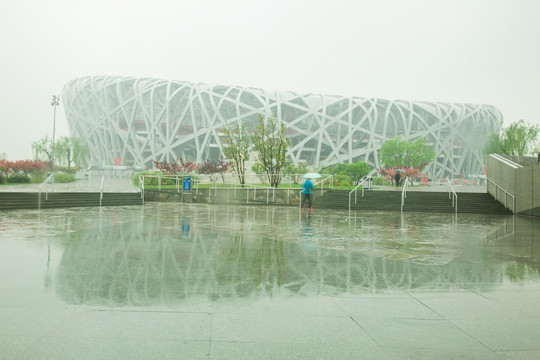 雨中 鸟巢