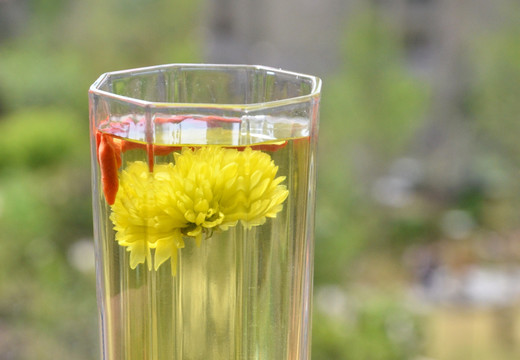 菊花枸杞茶