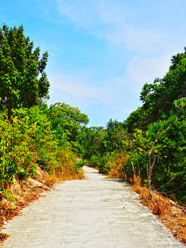 山中小路