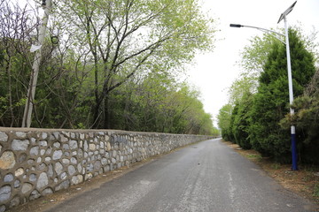 新农村道路