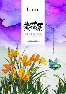 黃花菜