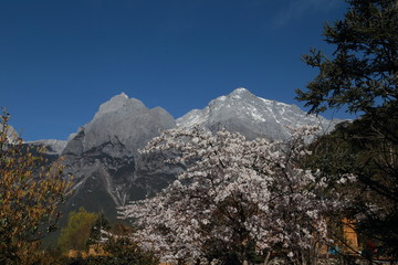 玉龙雪山