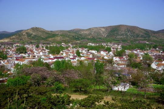 美丽的乡村风景 新农村建设