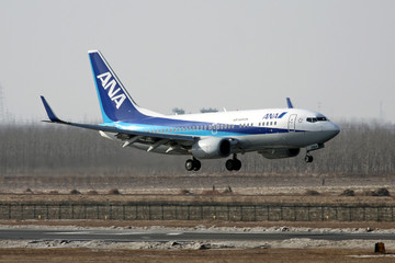 日本全日空航空 飞机降落