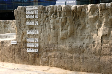 金沙遗址 考古现场