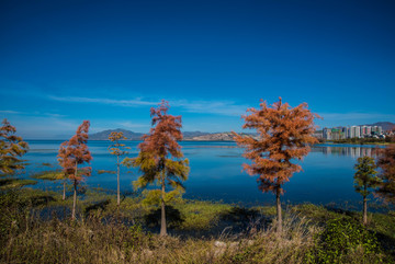 洱海风光