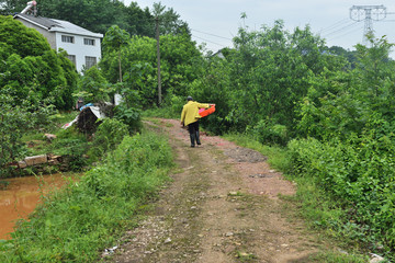 美丽乡村 乡村 乡村道路 公路