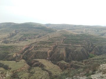 黄土高原的沟壑
