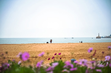 海滩 沙滩 大海