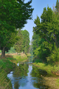 河道