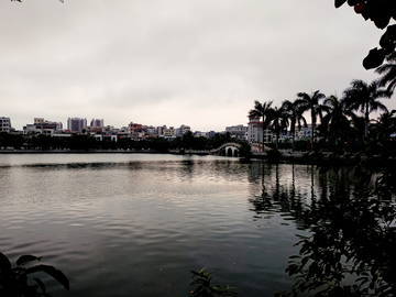 湖畔风景 雷州南湖