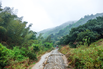 桃花岭古道