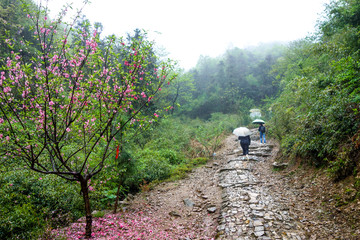 桃花岭古道