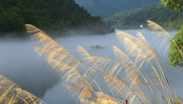 小东江