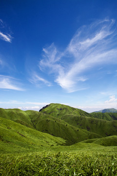 高山草甸高山草原