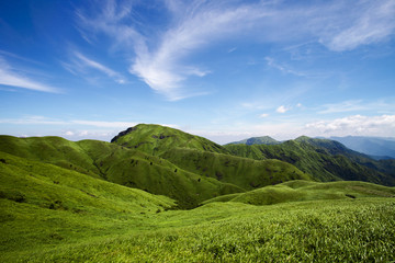 高山草甸高山草原