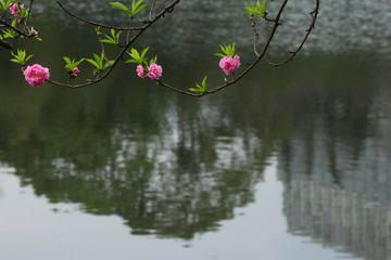 交大镜湖