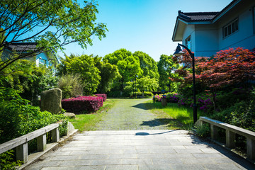 住宅区绿化