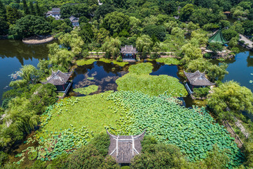 城市公园绿化俯瞰