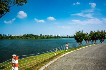 湖岸边道路