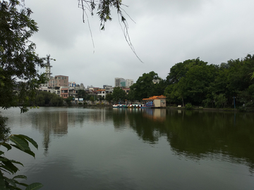 雷州西湖风景