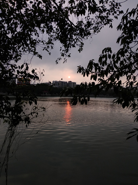 湖畔风景 广东雷州南湖