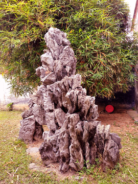 绿化风景 广东雷州雷祖祠