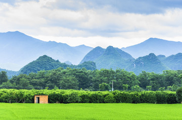 田园风光