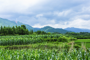 田园风光