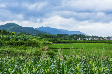 田园风光