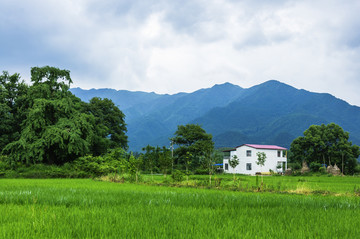 田园风光