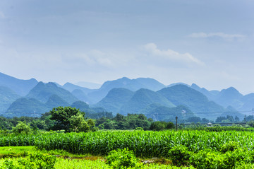 田园风光