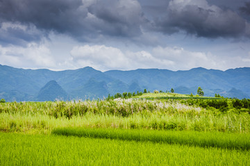 田园风光