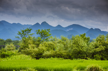 田园风光